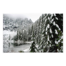 Snowy-Kiefern entlang See zweiundzwanzig Foto