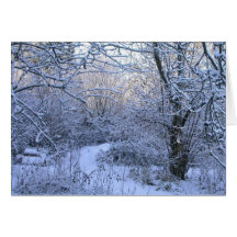 Snowy-Obstgartenfreier raum Gruß-Karte