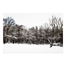 Snowy-Träume Fotografien