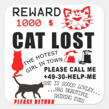 Soft Kitty Lost Sticker