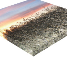 Sojabohne-Sonnenuntergang Gespannter Galeriedruck