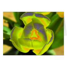 SolarBlume Karte