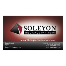 Soleyon 2 visitenkartenvorlagen