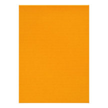 solid-orange SOLID ORANGE BRIGHT SUMMER CANTELOPE Invites