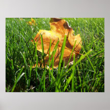 Sommer-Blatt Plakat