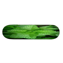 SOMMER-BLÄTTER PERSONALISIERTES SKATEBOARDDECK