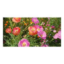 Sommer-Blumen Foto-Karte Individuelle Photo Karten