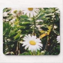 SOMMER MOUSEPADS