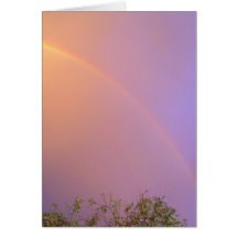 Sommer-Regenbogen Karte