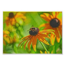 Sommer-Summen-Sammlung 7 x photographischer Druck 