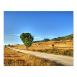 Sommer-Tag Kunst Photo
