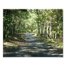 Sommer-Wärme -10x8 - photographischer Druck