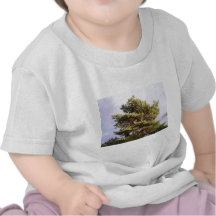 Sonne, die durch Kiefer scheint Shirts