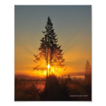Sonnenaufgang 8X10 im Großen Nordwesten Fotografien