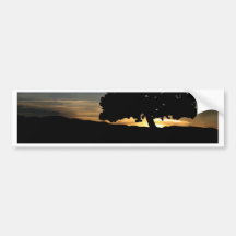 Sonnenaufgang-Baum Autosticker