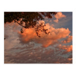 Sonnenaufgangwolken, Postkarte