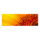 Sonnenblume danken Ihnen Lesezeichen u. Emerson-Zi Visitenkarte