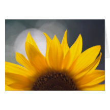 Sonnenblume gefaltete Karte