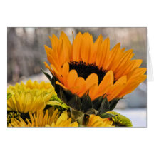 Sonnenblume Karte