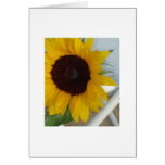 Sonnenblume-leere Karte
