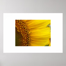 Sonnenblume Poster
