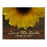 Sonnenblume u. Barnwood Fall-Save the Date Postkar