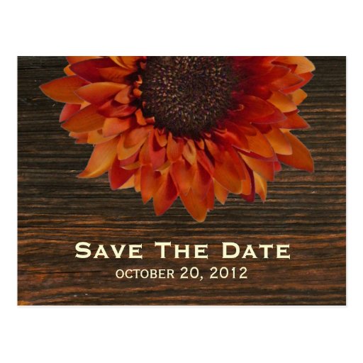 Sonnenblume u. Barnwood Save the Date Postkarte