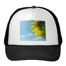 Sonnenblume-Wanze Kappen