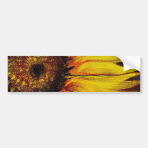 Sonnenblumen, zum Ihres Herzens aufzuwärmen! Auto Aufkleber