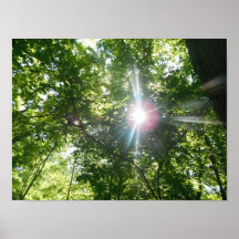 Sonnenlicht Plakat
