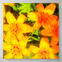 Sonnenuntergang-Lilien Plakatdruck