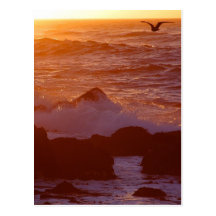 Sonnenuntergang-Ozean Postkarte