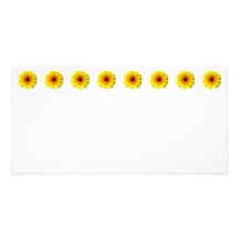 Sonniges gelbes Gerbera-Gänseblümchen Photokartenvorlage