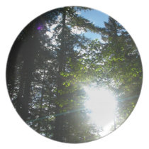 Sonniges Holz teller