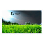 soothing invironment biz card business card templates