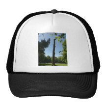 Southampton (Hoglands Park) Mesh Hats