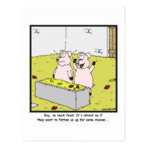Soviel Nahrung: Schwein-Cartoon Postkarte