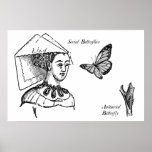 Sozialschmetterlinge Posterdrucke
