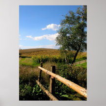 _spam01_ plakatdrucke