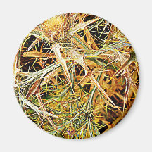 Spanische Distel Magnete