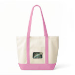Spaß-Kuchen-verzierenideen - Zuckerglasur-Tasche taschen