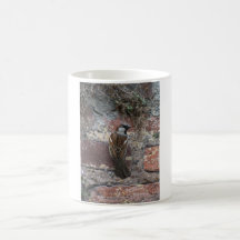 Spatz sparrow tee tasse
