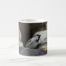 Spatz sparrow teetasse