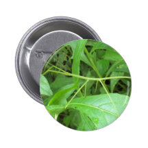 Spazierstock Buttons