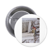 Specht Anstecknadelbuttons