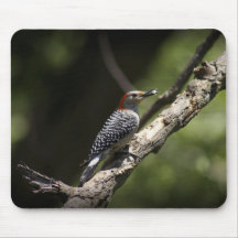 Specht-Vogel-Tier-Fotografie Mousepad