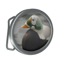 Spectacled Eiderenten-Gürtelschnalle gürtelschnallen