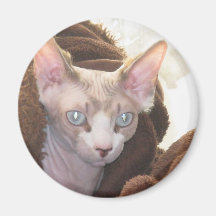 Sphynx Magneten