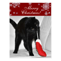 Spielen der Katze Weihnachtspostkarte postkarten