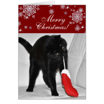 Spielen von Katze Weihnachten karten